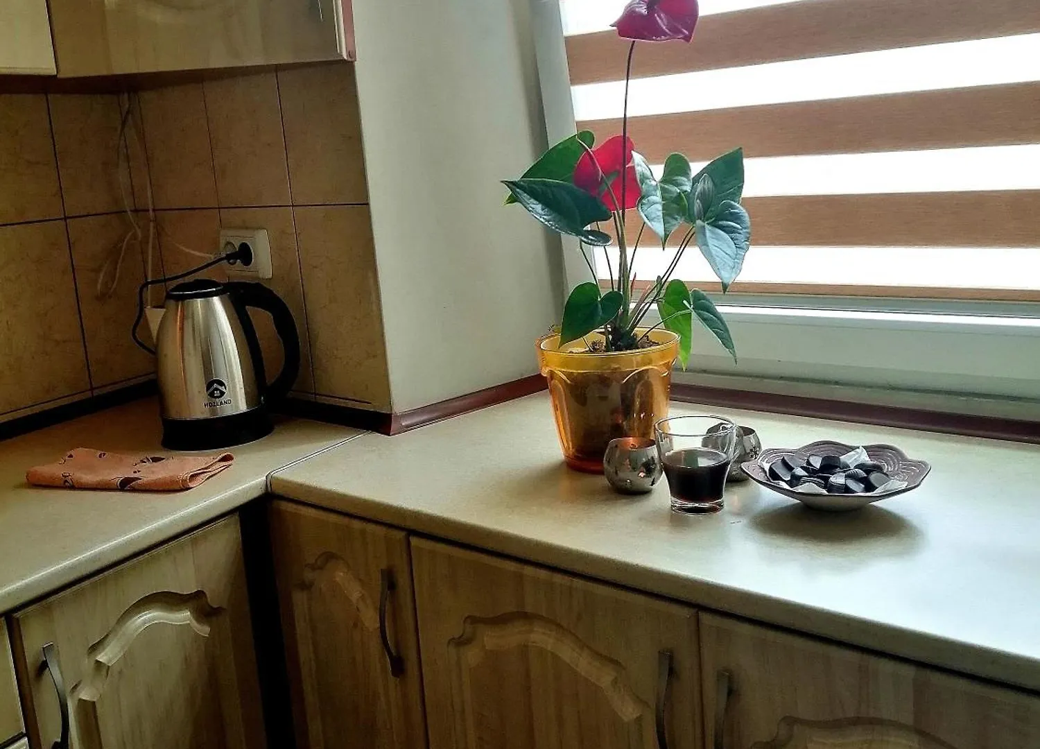 Flat On Sheptytskykh Apartment Lviv 0*,