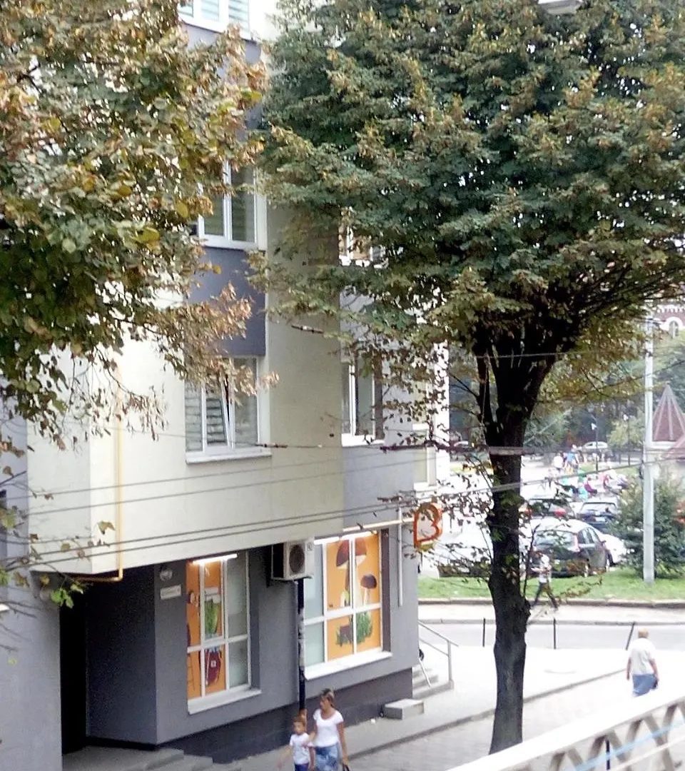 Flat On Sheptytskykh Apartment Lviv Ukraine